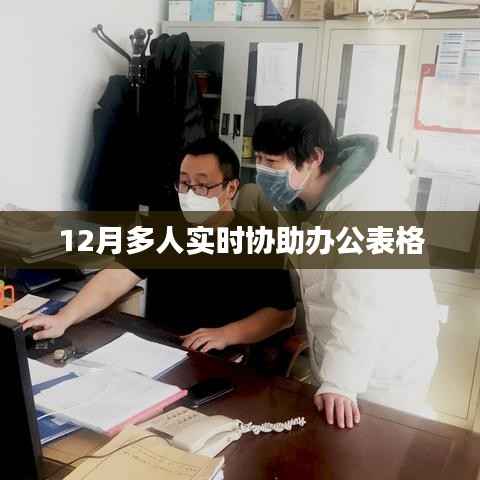 实时多人协作办公表格,高效协同办公利器(12月版)