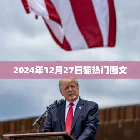 猫热门资讯,揭秘2024年猫界新风尚