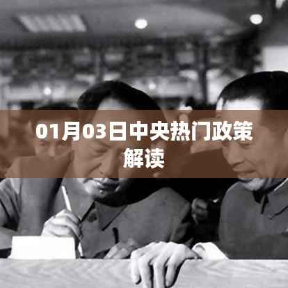 中央热门政策解读,最新动态与深度剖析(日期,01月03日)