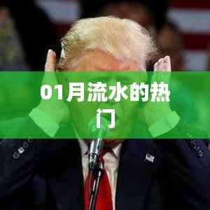 01月流水热门概览