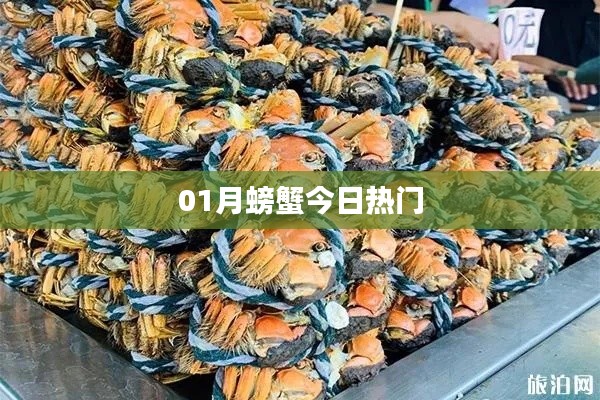 01月螃蟹热点聚焦
