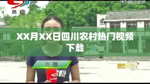 成功案例 第199页