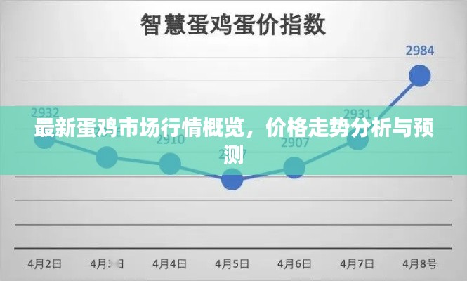 最新蛋鸡市场行情概览,价格走势分析与预测