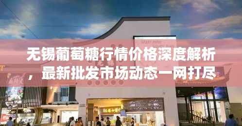 无锡葡萄糖行情价格深度解析,最新批发市场动态一网打尽!