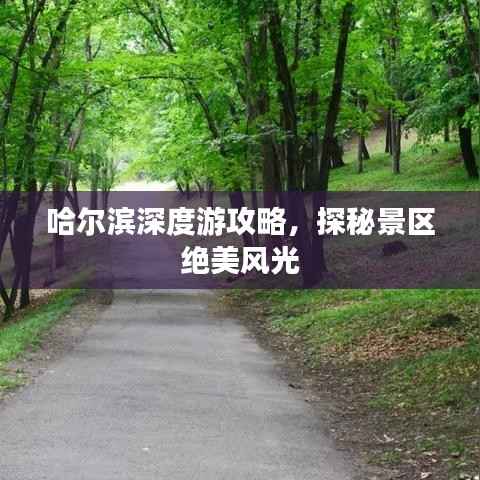 行疾如飞 第2页