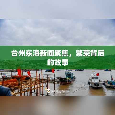 台州东海新闻聚焦,繁荣背后的故事