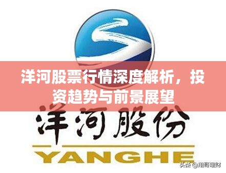 洋河股票行情深度解析,投资趋势与前景展望