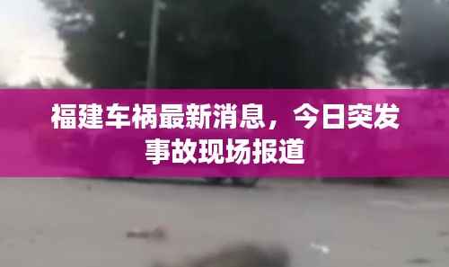 福建车祸最新消息,今日突发事故现场报道
