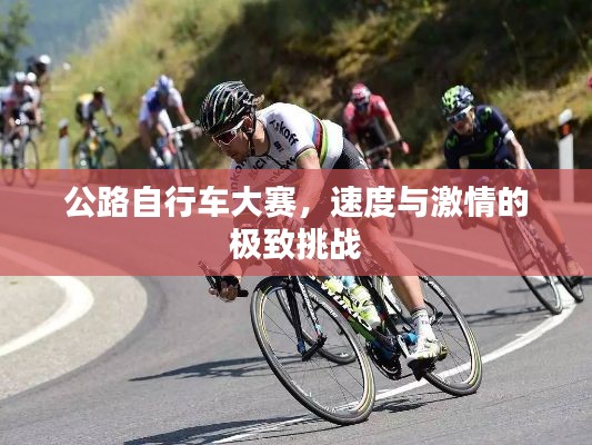 公路自行车大赛,速度与激情的极致挑战