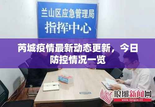 芮城疫情最新动态更新,今日防控情况一览