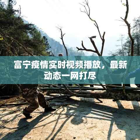 富宁疫情实时视频播放,最新动态一网打尽