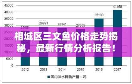 资料中心 第165页