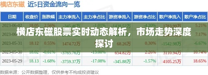 横店东磁股票实时动态解析,市场走势深度探讨