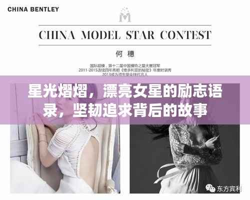 星光熠熠,漂亮女星的励志语录,坚韧追求背后的故事