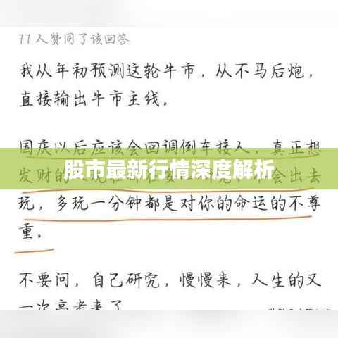 股市最新行情深度解析