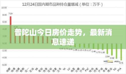 普陀山今日房价走势,最新消息速递
