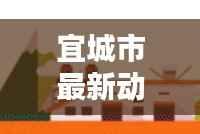 宜城市最新动态报道,不容错过的消息速递!