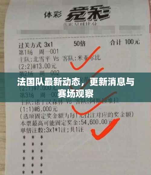 法国队最新动态,更新消息与赛场观察
