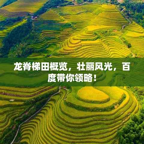 龙脊梯田概览,壮丽风光,百度带你领略!