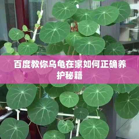 沉灶生蛙 第3页