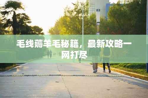 毛线薅羊毛秘籍,最新攻略一网打尽