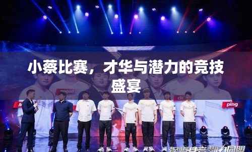 小蔡比赛,才华与潜力的竞技盛宴
