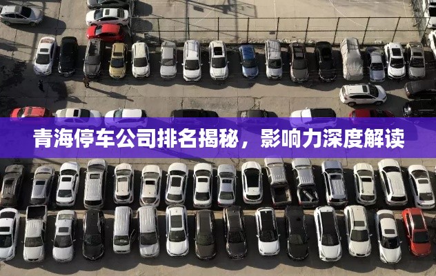 青海停车公司排名揭秘,影响力深度解读