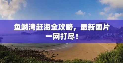 鱼鳞湾赶海全攻略,最新图片一网打尽!