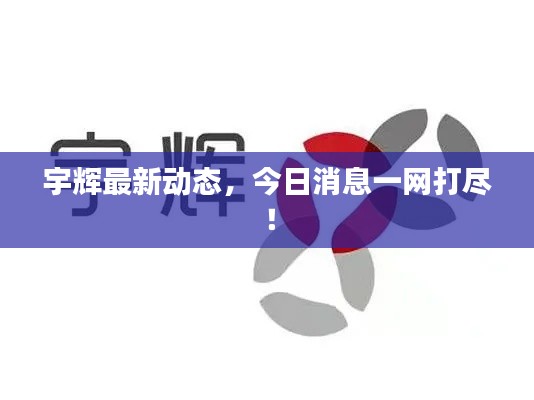 宇辉最新动态,今日消息一网打尽!