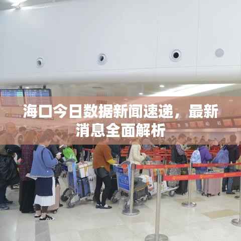 海口今日数据新闻速递,最新消息全面解析