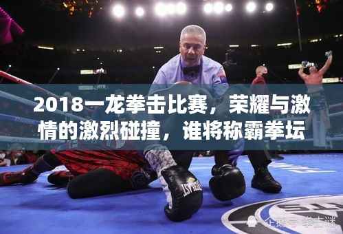 2018一龙拳击比赛,荣耀与激情的激烈碰撞,谁将称霸拳坛?