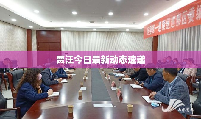 贾汪今日最新动态速递