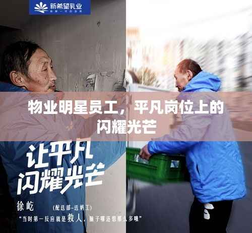 物业明星员工,平凡岗位上的闪耀光芒