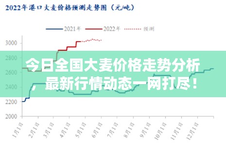 今日全国大麦价格走势分析,最新行情动态一网打尽!