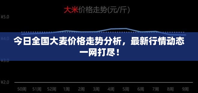 今日全国大麦价格走势分析,最新行情动态一网打尽!