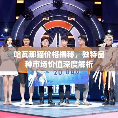 哈瓦那猫价格揭秘,独特品种市场价值深度解析