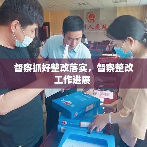 督察抓好整改落实,督察整改工作进展