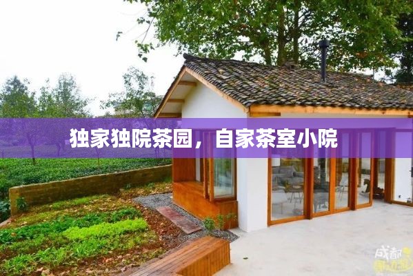 独家独院茶园，自家茶室小院 