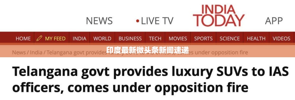 印度最新微头条新闻速递