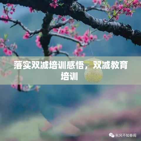 落实双减培训感悟,双减教育培训