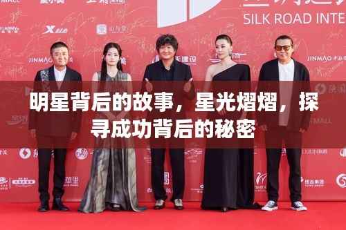 明星背后的故事,星光熠熠,探寻成功背后的秘密