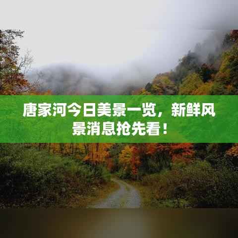 唐家河今日美景一览，新鲜风景消息抢先看！