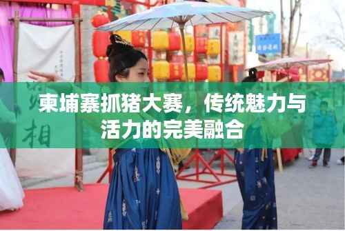 柬埔寨抓猪大赛，传统魅力与活力的完美融合