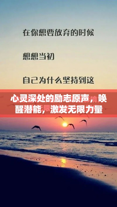 心灵深处的励志原声，唤醒潜能，激发无限力量