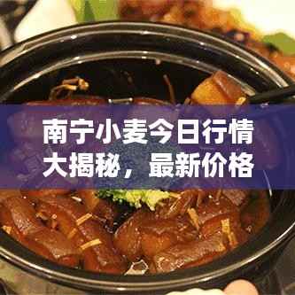 南宁小麦今日行情大揭秘,最新价格走势分析