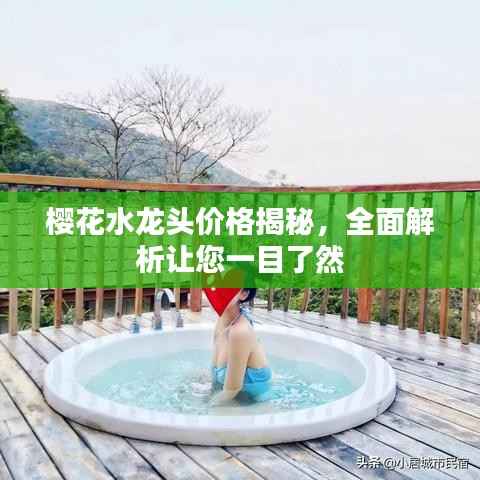 樱花水龙头价格揭秘,全面解析让您一目了然