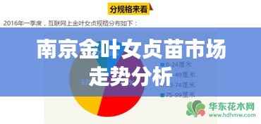 南京金叶女贞苗市场走势分析