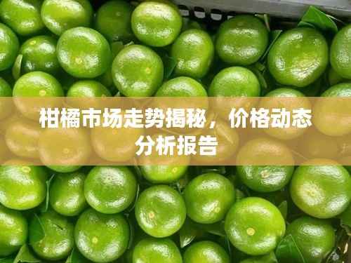 柑橘市场走势揭秘,价格动态分析报告